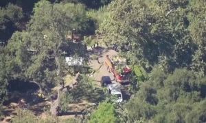 Family awarded nearly 15 million USD after child dies from falling tree branch