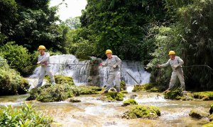 Viettel Construction climbs six spots in Top Fortune Southeast Asia 500
