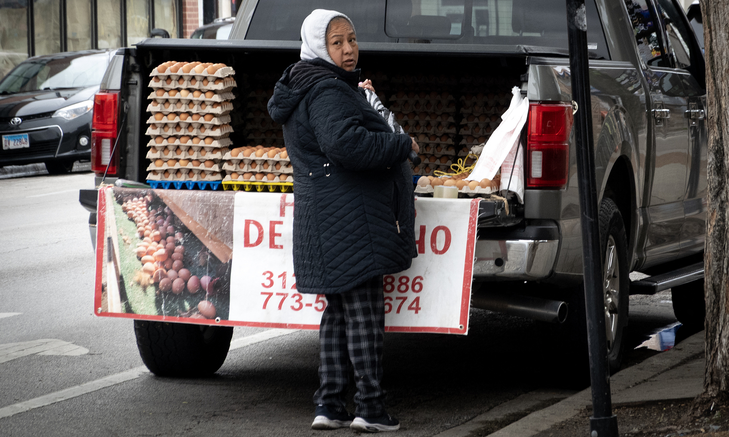 Collusion drives US egg prices to record highs