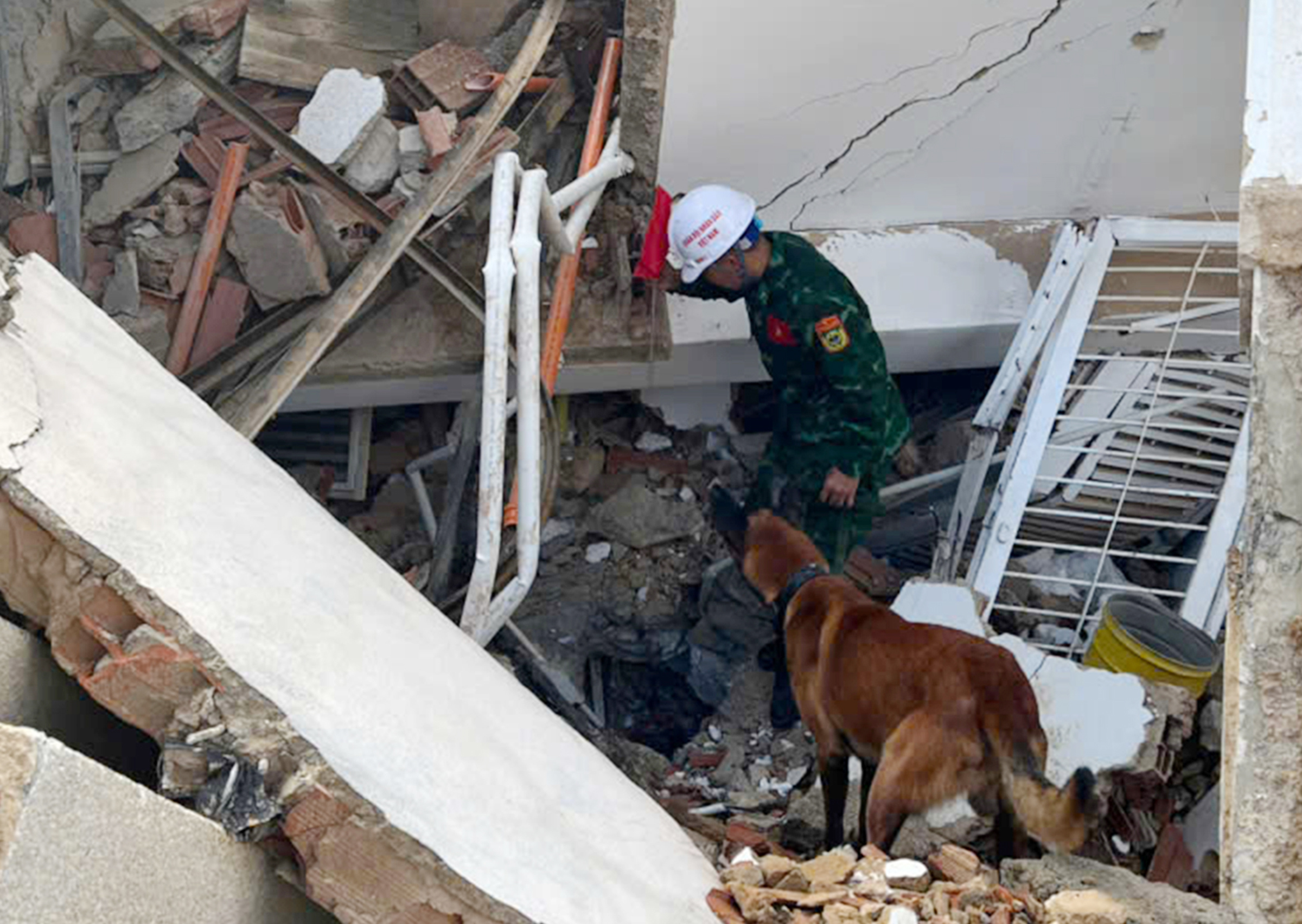 Venezuela awards medal of merit to Vietnamese military dogs