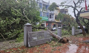 Typhoon Maysak causes flooding, roof damage in Mong Cai