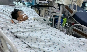 Two children in coma due to japanese encephalitis