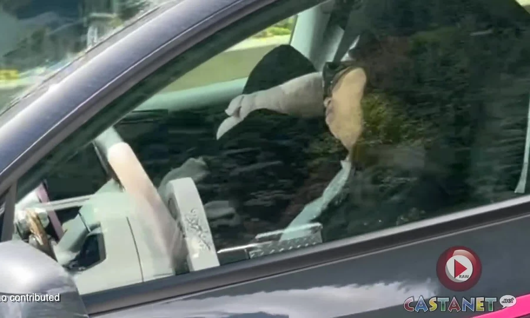 Driver falls asleep, Tesla electric vehicle drives itself
