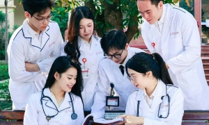 Minimum scores for medicine and pharmacy fields rise again