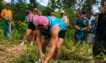 Western tourists participate in planting over 5,000 trees in Ha Giang