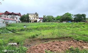 Younger brother with 20-year land certificate faces lawsuit from siblings over inheritance