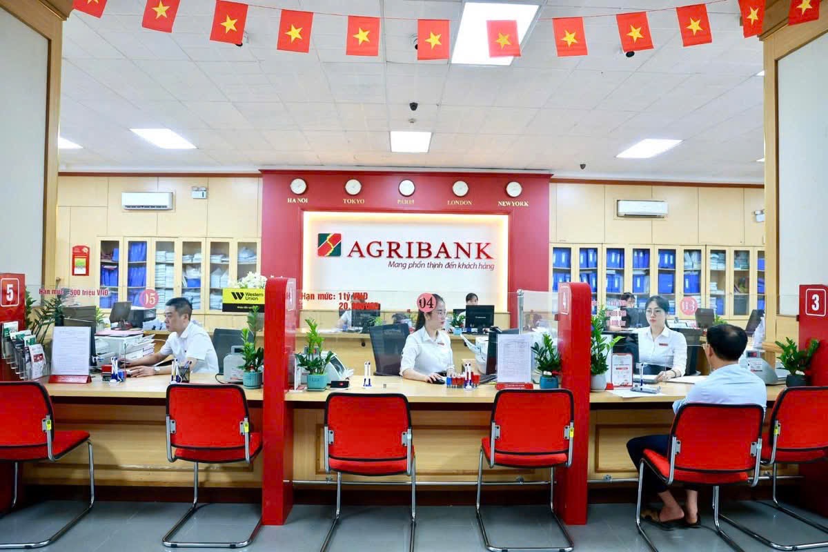 Agribank offers 15,000 billion VND bonds to the public
