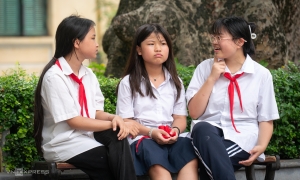 Hanoi halts opening of new primary and junior high schools