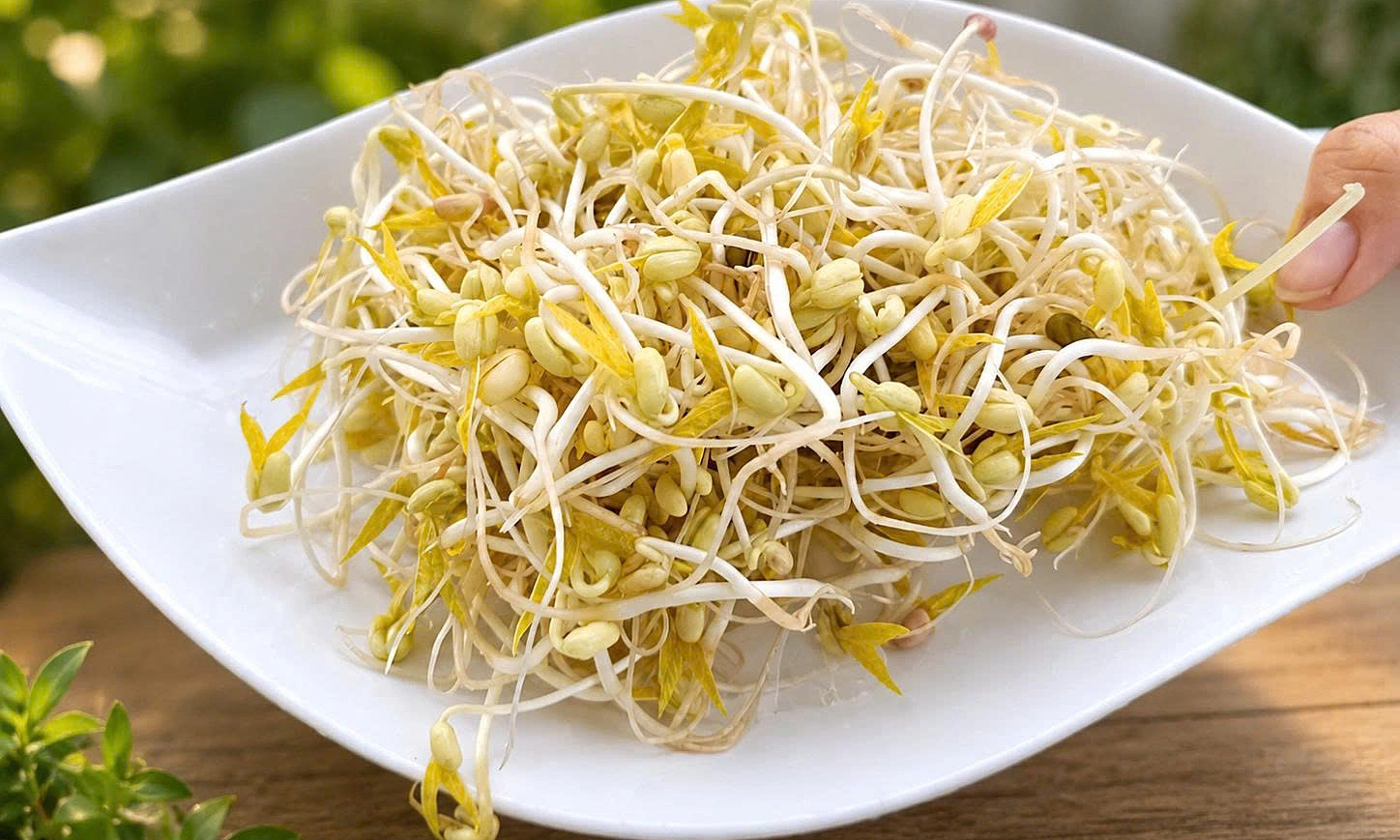 Five benefits of eating bean sprouts for breakfast