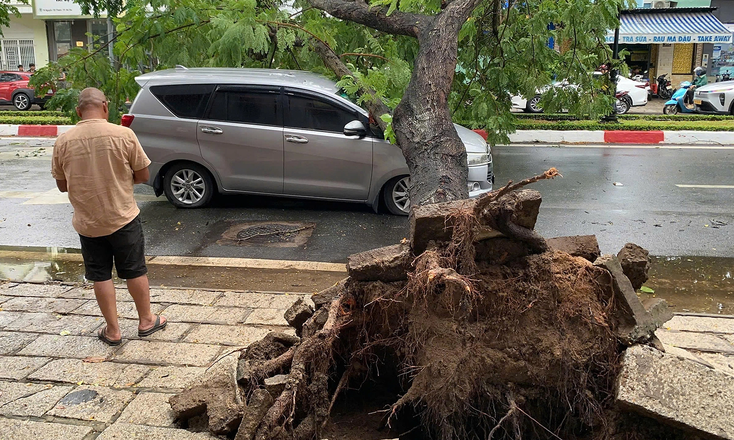 A flamboyant tree uprooted, crushing a moving car in Ho Chi Minh City