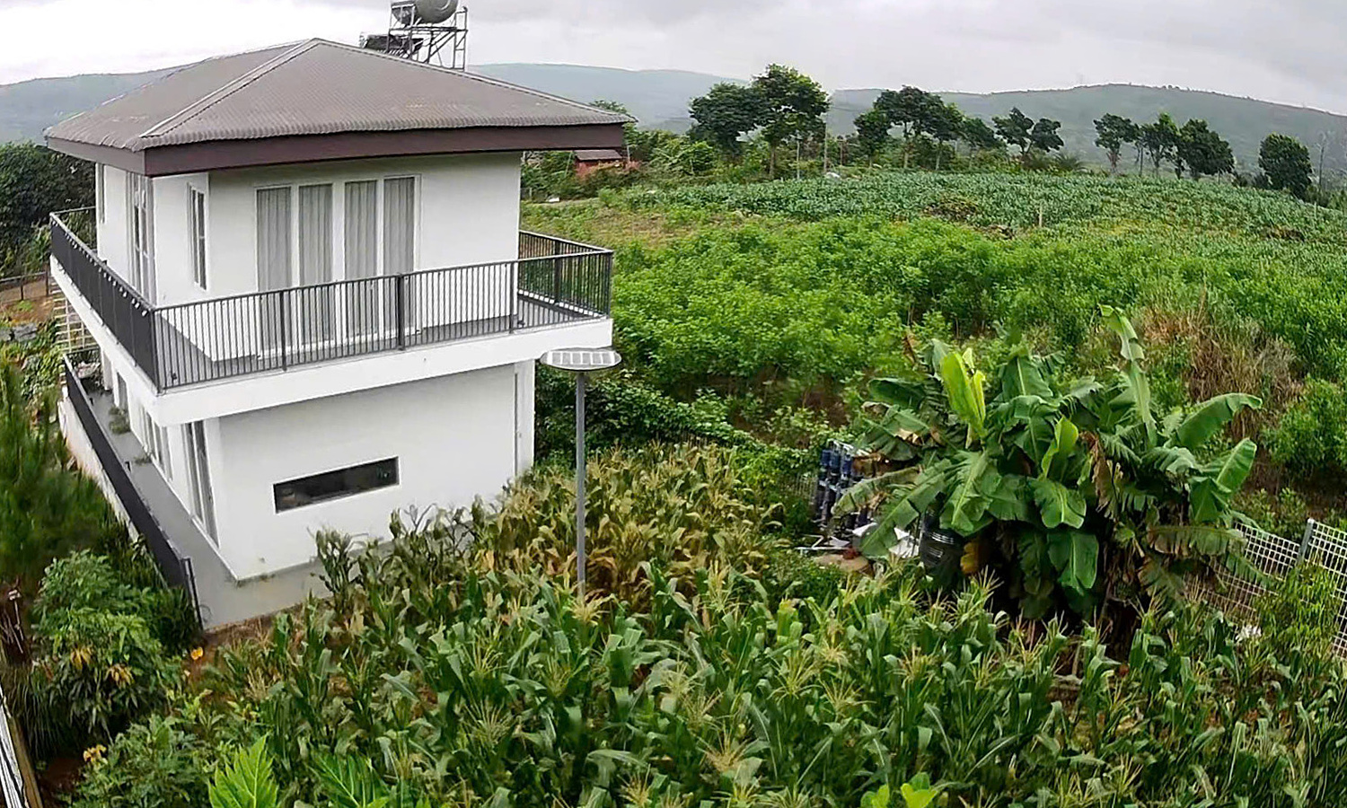 Actress Le Hoa's nearly 1,000 m2 vegetable garden