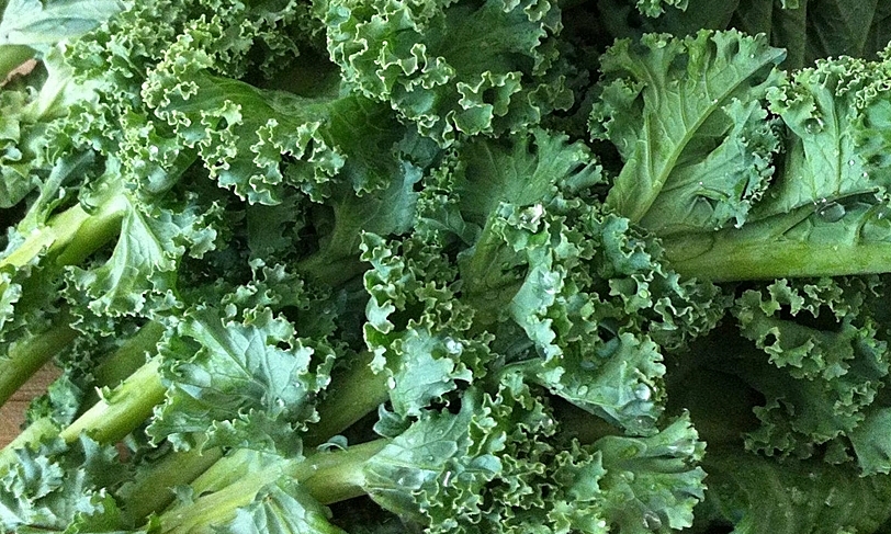 Four minerals that can cause digestive disorders if consumed in excess