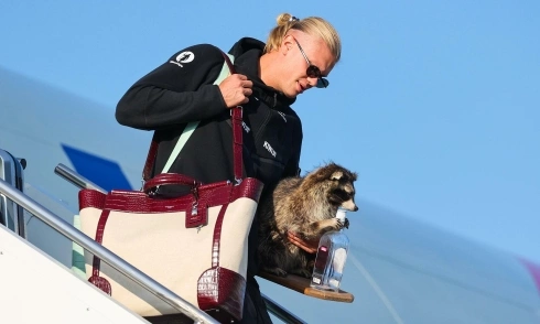 Haaland's US-bought stuffed animal sells out