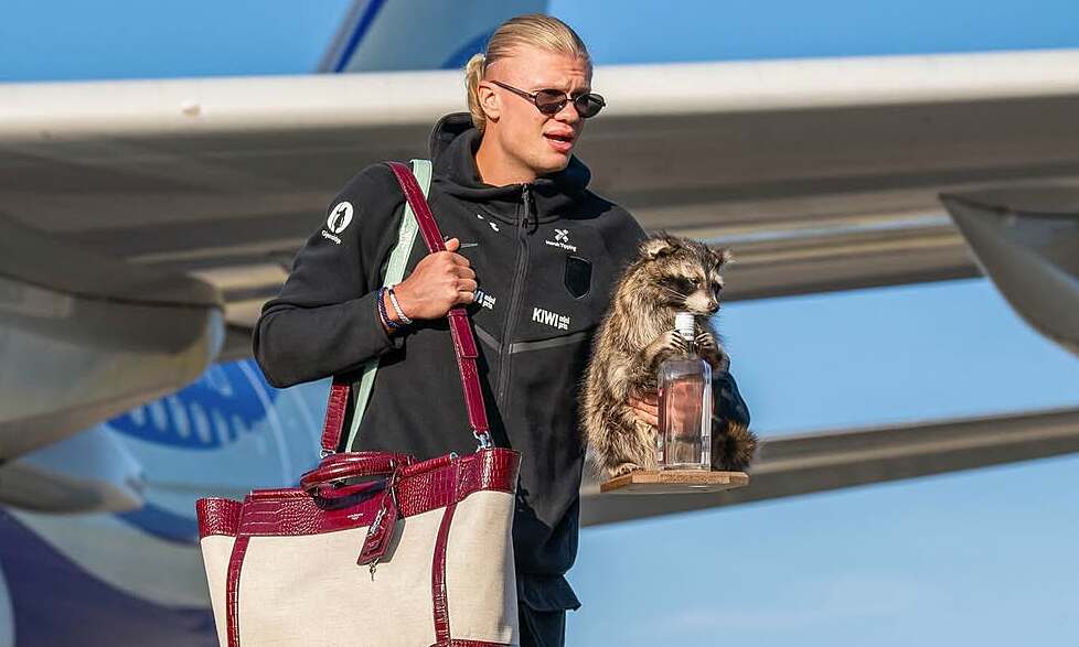 Haaland and teammates return with luxury bags after World Cup exit