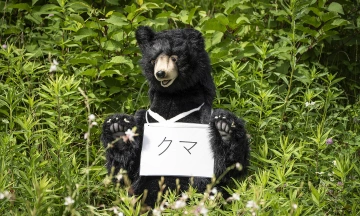 Japan hunts bear raiding homes, refrigerators