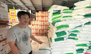 Fake MSG and seasoning powder distribution ring found in grocery stores