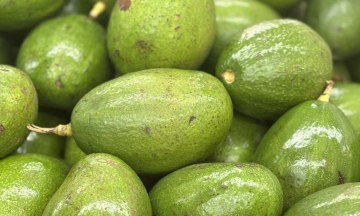 Five vitamin E-rich foods good for eye health