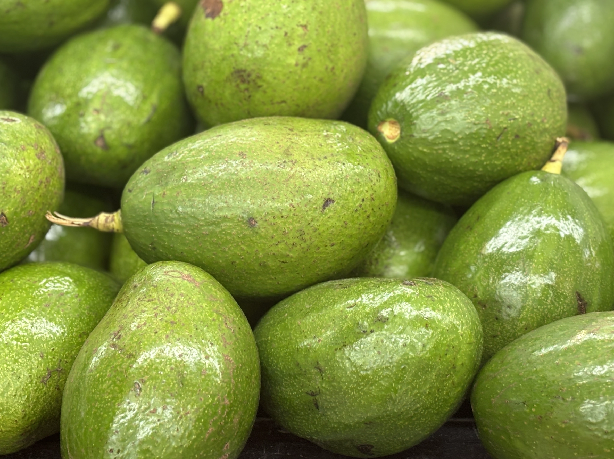 Five vitamin E-rich foods good for eye health