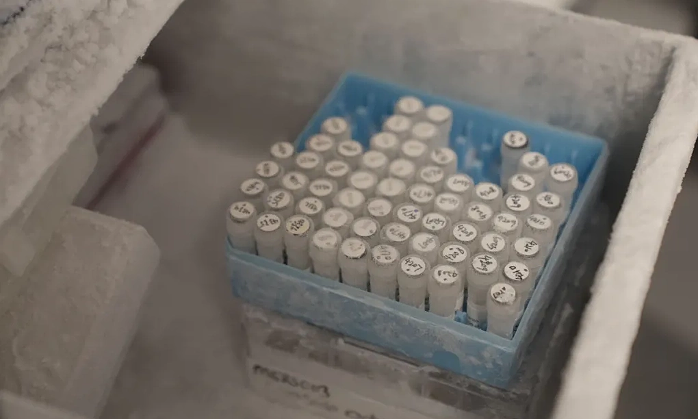 UK begins trials for new Ebola Bundibugyo vaccine
