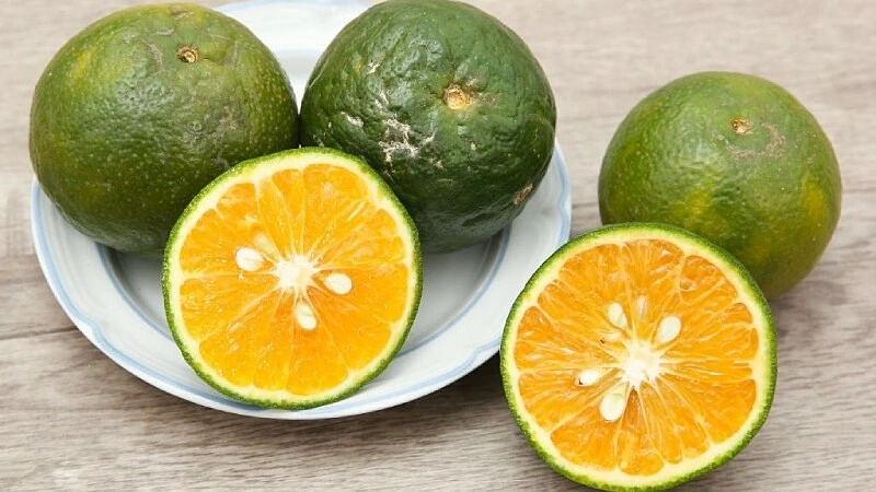 Eating oranges or drinking orange juice: which is better?