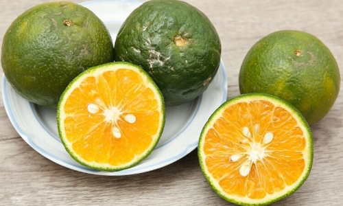 Eating oranges or drinking orange juice: which is better?