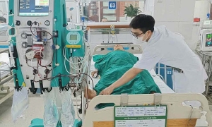 Man suffers multi-organ failure, needs dialysis after carp bile poisoning