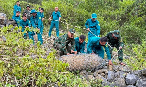 350 kg bomb discovered while digging house foundation
