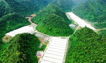 Three dead at pig farm