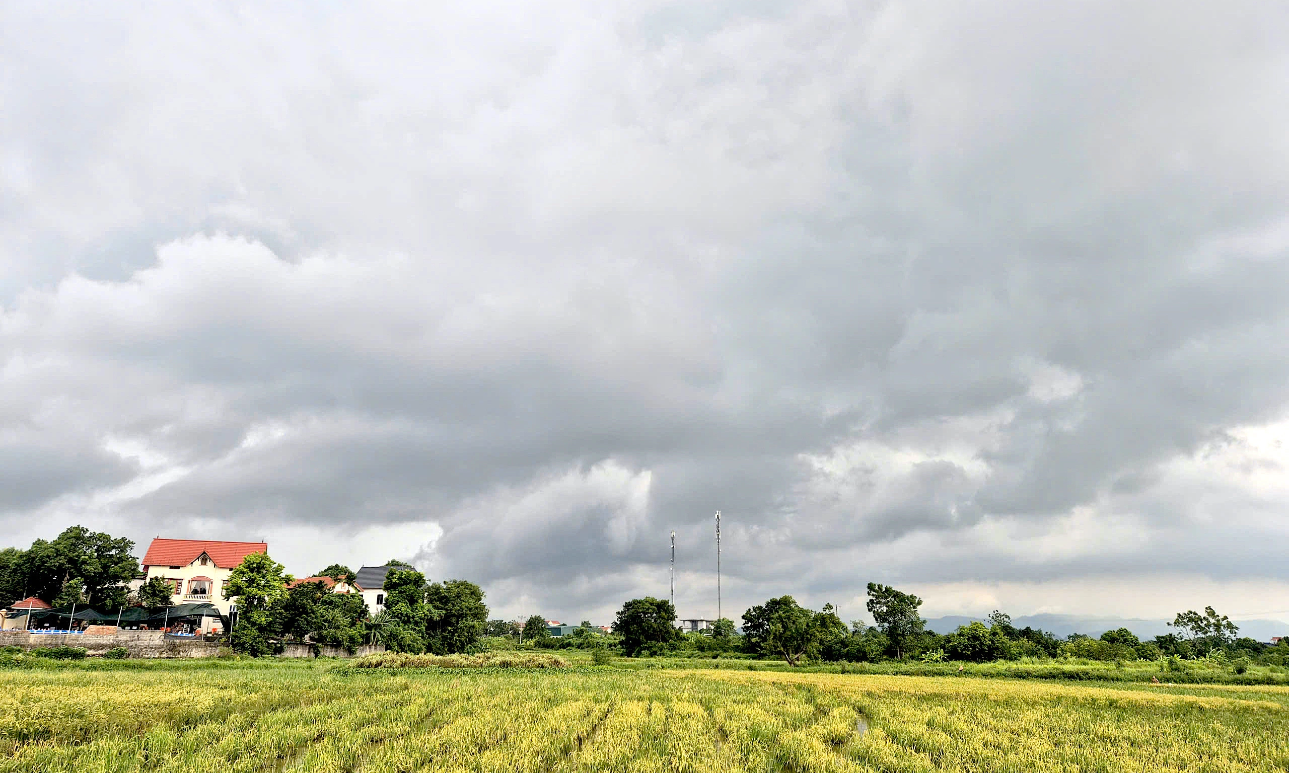 Northern Vietnam to see continued thunderstorms next week