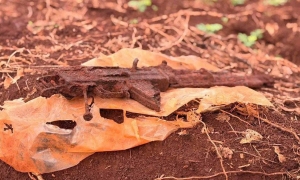 Dong Nai Seeks Witnesses for Mass Grave of Fallen Soldiers Along National Highway 13