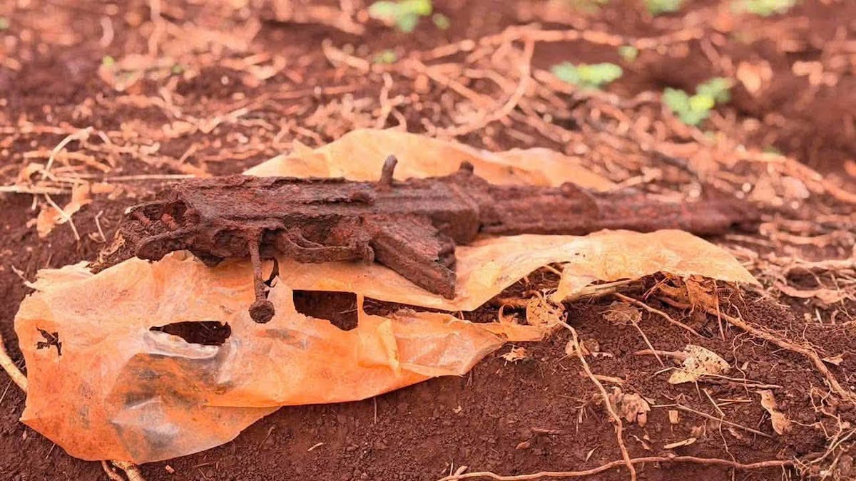 Dong Nai Seeks Witnesses for Mass Grave of Fallen Soldiers Along National Highway 13