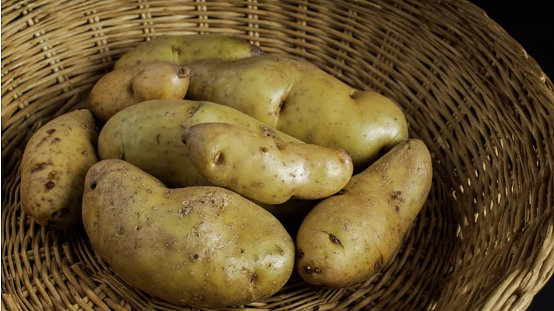Two silent killers on your plate: toxins persist even after cooking