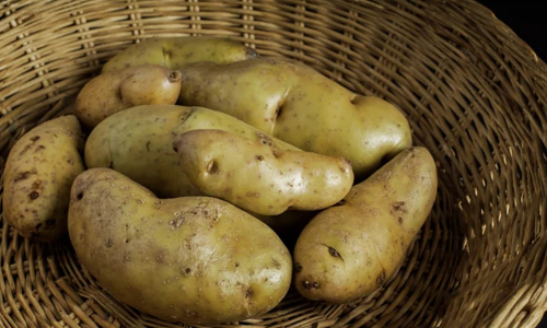 Two silent killers on your plate: toxins persist even after cooking