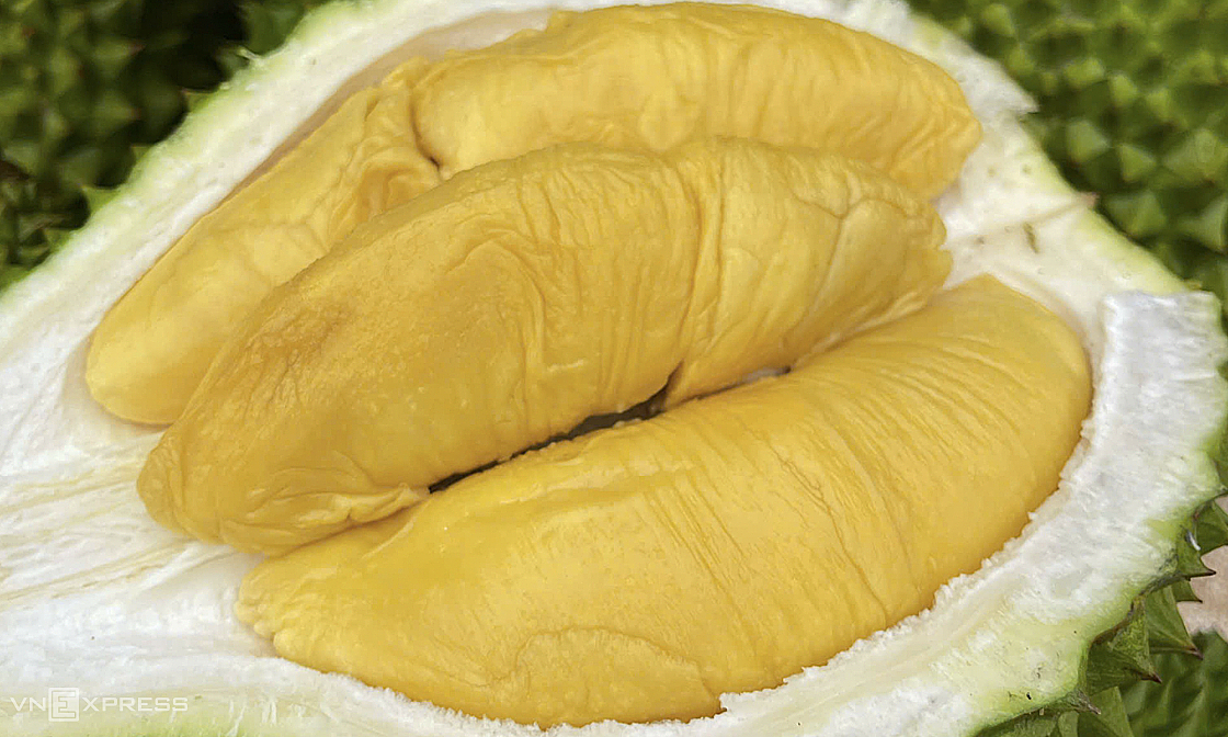 Durian market brightens, fruit and vegetable exports could exceed 1 billion USD monthly