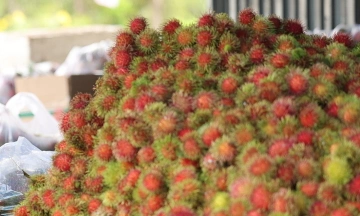 7-month-old girl chokes on rambutan, heart stops for 15 minutes
