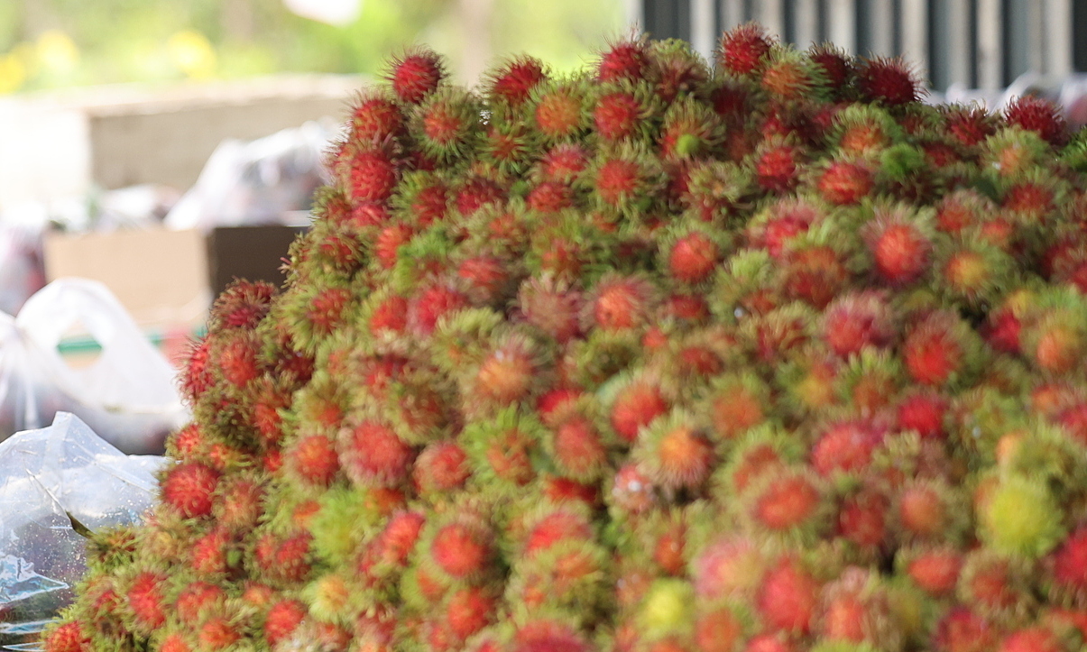 7-month-old girl chokes on rambutan, heart stops for 15 minutes