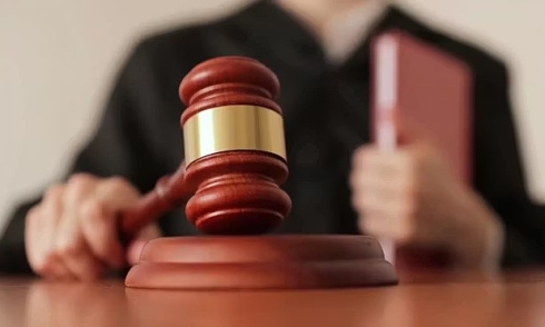 Judge disciplined for 6 instances of plagiarism from lawyers