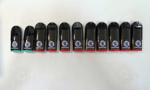 Drug ring smuggling 'chill pods' containing drugs into Ho Chi Minh City dismantled