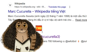 Why Google displays the curly-haired cat effect when searching for Cucurella's name