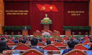 Transfer of mass mobilization tasks from Central Propaganda and Mass Mobilization Commission to Vietnam Fatherland Front Party Committee