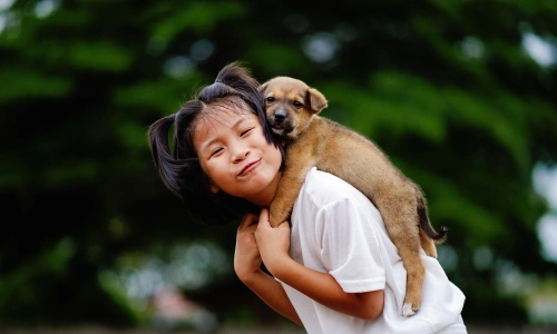 Four daily habits that increase disease risk from dogs