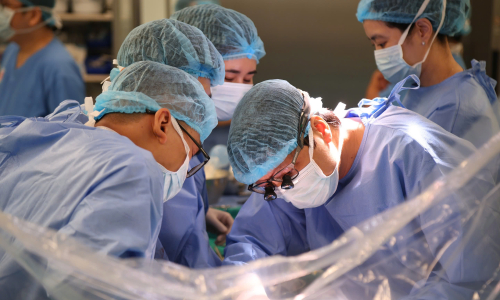 Dozens of doctors perform simultaneous heart and liver transplants from two brain-dead donors