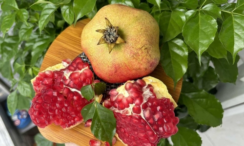What should pregnant mothers eat to prevent gestational diabetes?