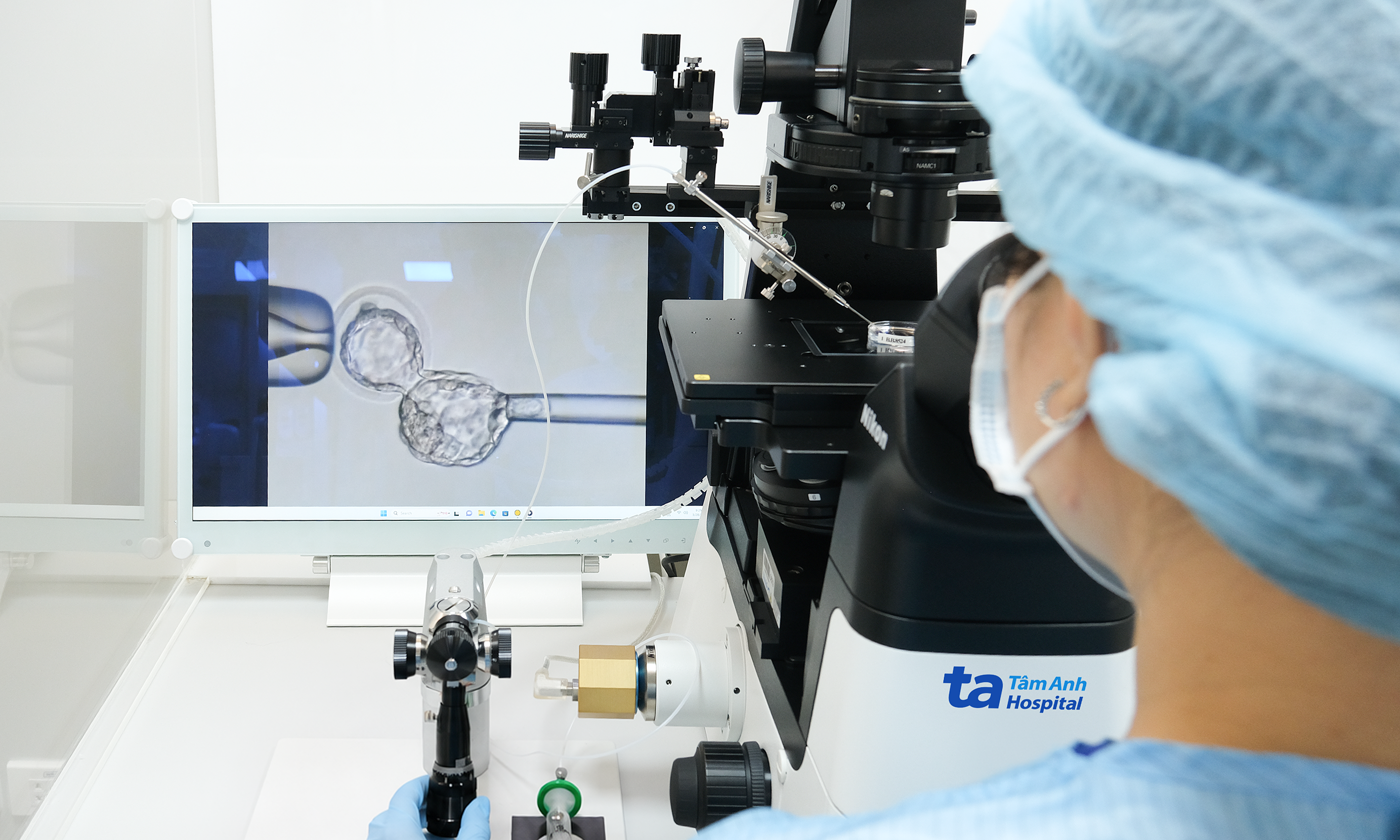 Do morphologically good embryos require preimplantation genetic testing?