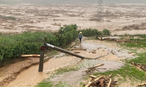 Widespread rain across Vietnam from now until end of July