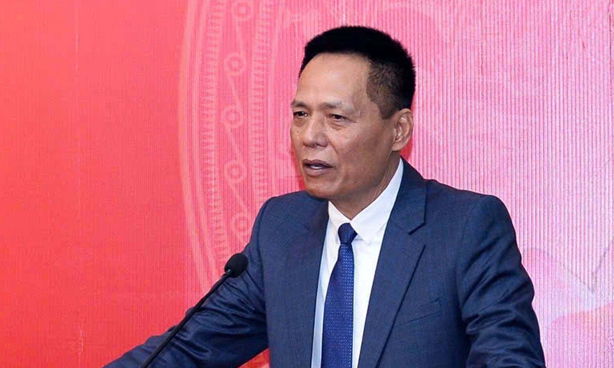 Former director of Hai Phong Project Management Board arrested