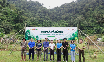 Vietnam Airlines plants an additional 72 hectares of forest in Son La