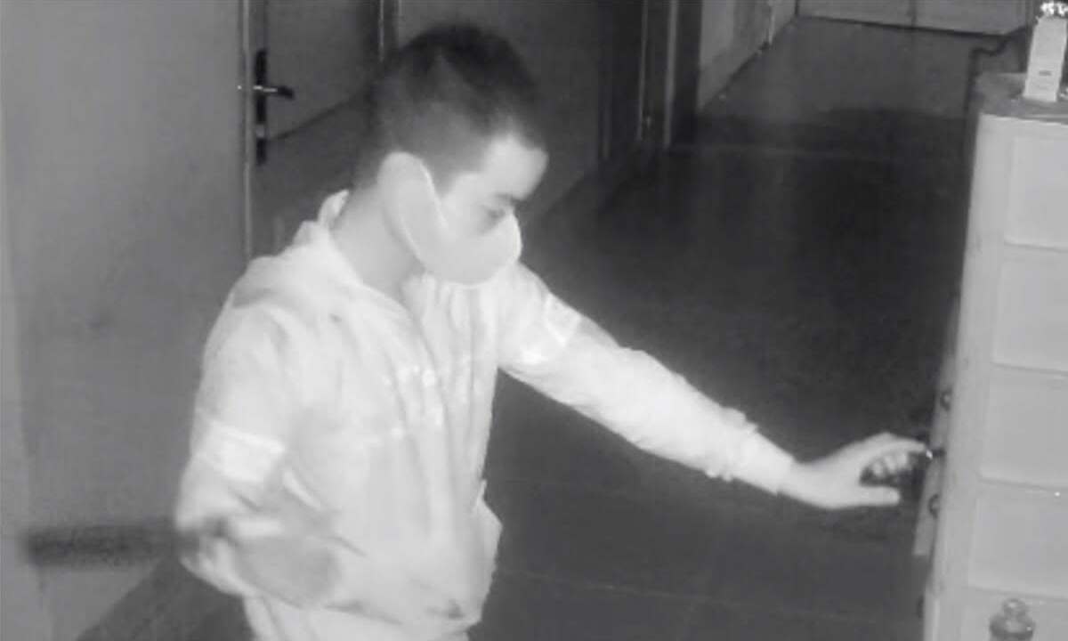 Thief assaults homeowner after failing to steal property
