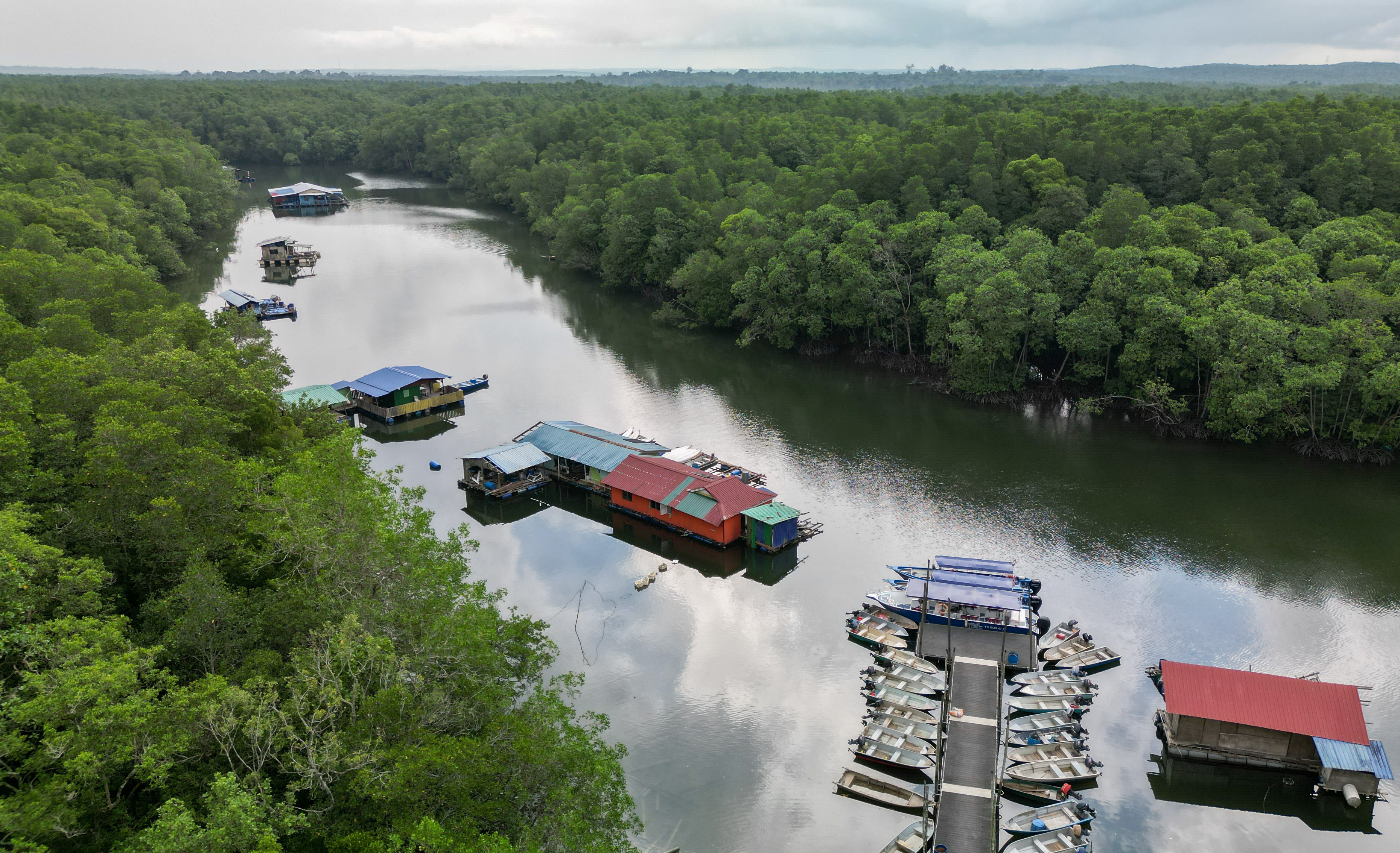 Discovering a 1,500-hectare mangrove forest in Malaysia