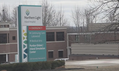 Doctor mistakenly removes bladder, patient awarded 17 million USD